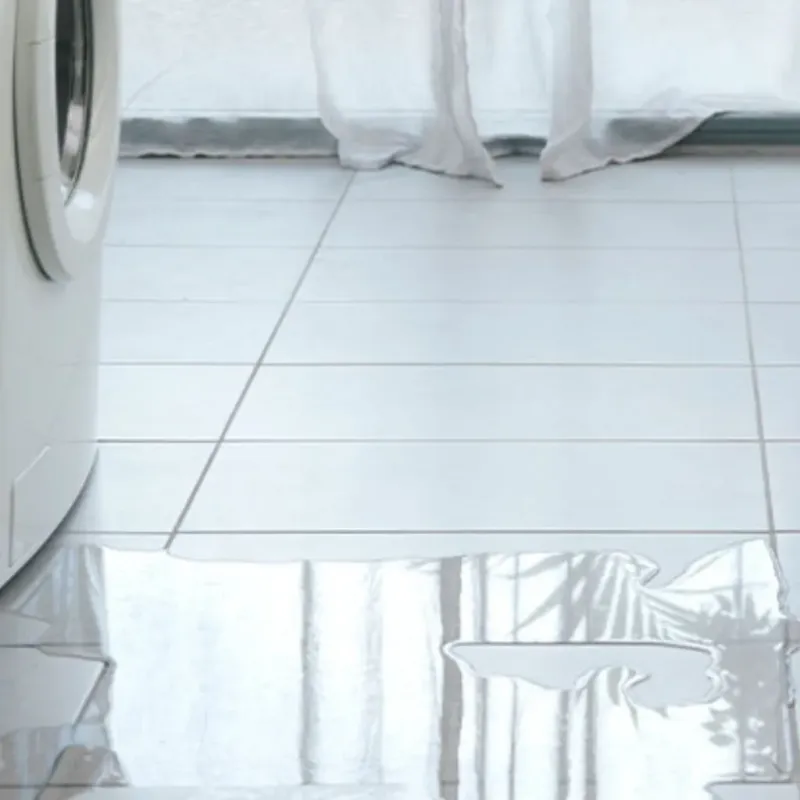 Appliance Leak Cleanup in Socorro, NM